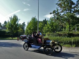 2019-Parel der Voorkempen-Bruno from Belgium